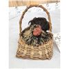 Image 3 : Chicken In A Basket Full Body Bird Taxidermy