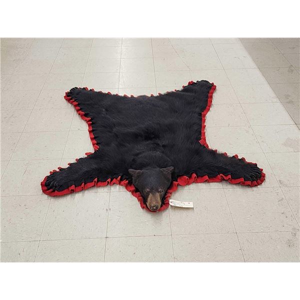 Black Bear Rug Taxidermy