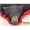 Image 2 : Black Bear Rug Taxidermy