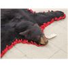 Image 3 : Black Bear Rug Taxidermy