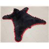Image 5 : Black Bear Rug Taxidermy
