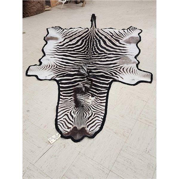 Plains Zebra Rug Taxidermy