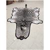 Image 1 : Plains Zebra Rug Taxidermy