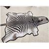 Image 6 : Plains Zebra Rug Taxidermy
