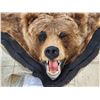 Image 2 : Alaskan Grizzly Bear Rug Taxidermy