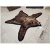 Image 5 : Alaskan Grizzly Bear Rug Taxidermy