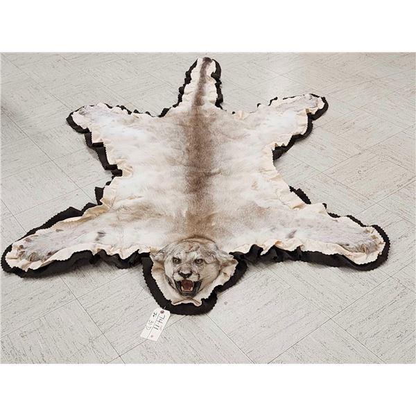 Mountain Lion Cougar Rug Taxidermy