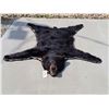 Image 1 : Nice Little Black Bear Rug Taxidermy