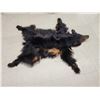 Image 2 : Black Bear Rug Taxidermy