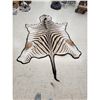 Image 4 : African Plains Zebra Rug Taxidermy