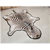 Image 5 : African Plains Zebra Rug Taxidermy