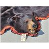 Image 4 : Big Black Bear Rug Taxidermy