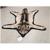 Image 1 : Alaskan Wolf Rug Taxidermy
