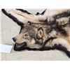Image 3 : Alaskan Wolf Rug Taxidermy