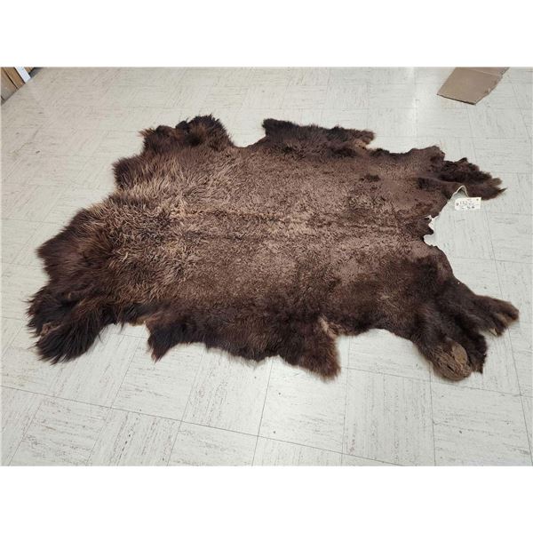 American Bison Buffalo Soft Tanned Robe Taxidermy