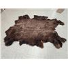 Image 1 : American Bison Buffalo Soft Tanned Robe Taxidermy