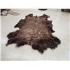 Image 2 : American Bison Buffalo Soft Tanned Robe Taxidermy