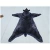 Image 6 : Nice Black Bear Rug Taxidermy