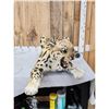 Image 6 : 100% Reproduction Clouded Leopard Full Body Taxidermy Mount