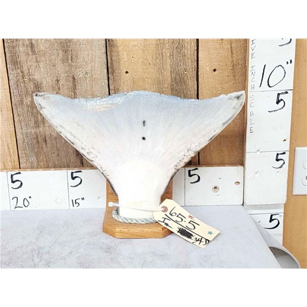 Halibut Tail Real Skin Fish Taxidermy