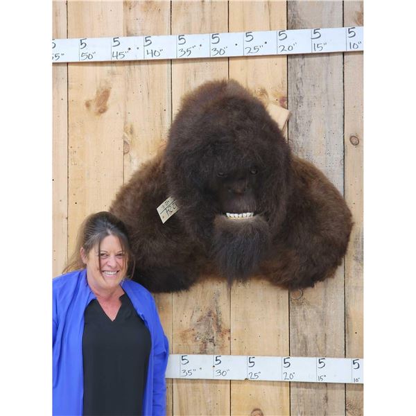 Bigfoot Reproduction Shoulder Mount Taxidermy