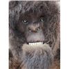 Image 4 : Bigfoot Reproduction Shoulder Mount Taxidermy