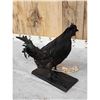 Image 5 : Black Rooster Chicken Full Body Bird Taxidermy