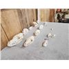 Image 2 : Small Animal Skulls Lot