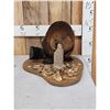 Image 1 : Beaver Chewing On A Log Taxidermy