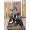 Image 2 : Coyote Full Body Taxidermy Mount