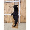Image 3 : Black Bear Full Body Taxidermy Mount