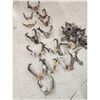 Image 1 : Pronghorn Antelope Horns & Skulls Lot Taxidermy