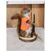 Image 2 : Hunting Squirrel Full Body Taxidermy Mount