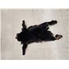 Image 2 : Tanned Black Bear Skin Taxidermy