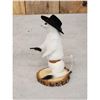 Image 2 : Sheriff Weasel Taxidermy Mount