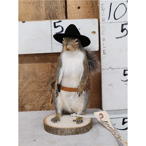 Sheriff Squirrel Full Body Taxidermy Mount