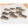 Image 5 : Ten Taxidermy Alligator Heads