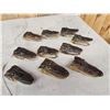 Image 8 : Ten Taxidermy Alligator Heads