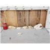 Image 1 : Small Animal Skulls Lot Taxidermy