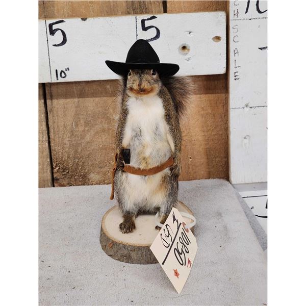Sheriff Squirrel Full Body Taxidermy Mount