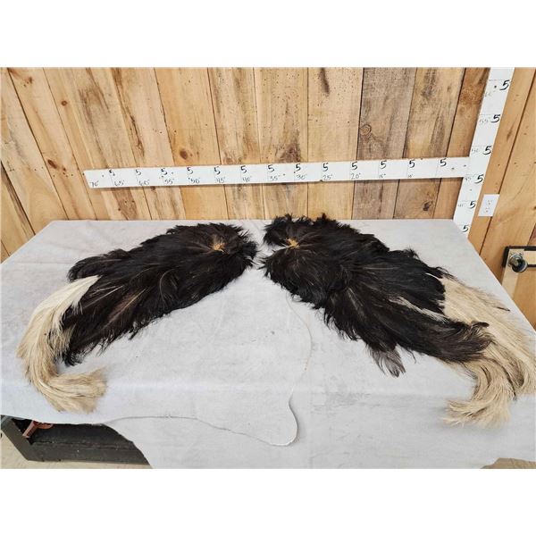 Pair Of Tanned Ostrich Wings Taxidermy