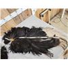 Image 5 : Pair Of Tanned Ostrich Wings Taxidermy