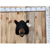 Image 1 : Black Bear Head Mount Taxidermy