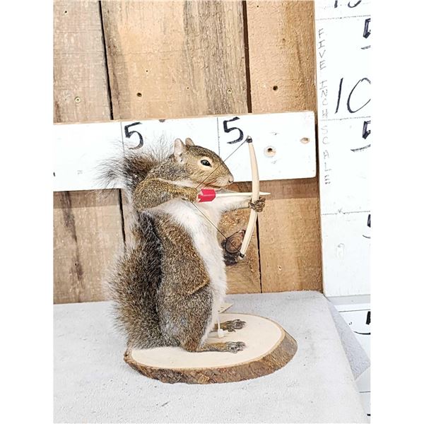 Bow Hunting Squirrel Full Body Taxidermy Mount