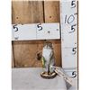 Image 1 : Fishing Squirrel Taxidermy Mount