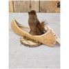 Image 4 : Squirrel In A Birch Bark Canoe Taxidermy
