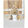 Image 1 : Coyote Fur Mountain Man Hat