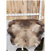 Image 3 : Reindeer Soft Tanned Skin Taxidermy