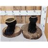 Image 1 : Vintage Black Bear Paw Ash Tray & Coin Holder Taxidermy