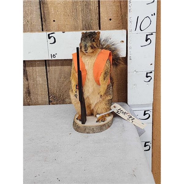 Hunting Squirrel Full Body Taxidermy Mount